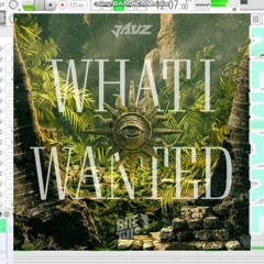 [FREE] Jauz-What I Wanted Fl Studio 21 Remake Free Flp(Flp+Samples+Presets)