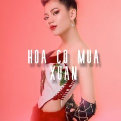 Hoa Co Mua Xuan - KEITH ft Ximyn