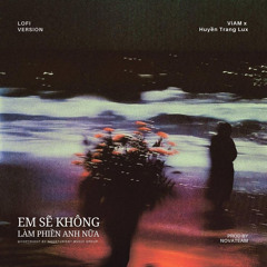 Em Sẽ Không Làm Phiền Anh Nữa (Lofi Version)