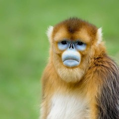 wretch by Corbin (307 Re-fuck)