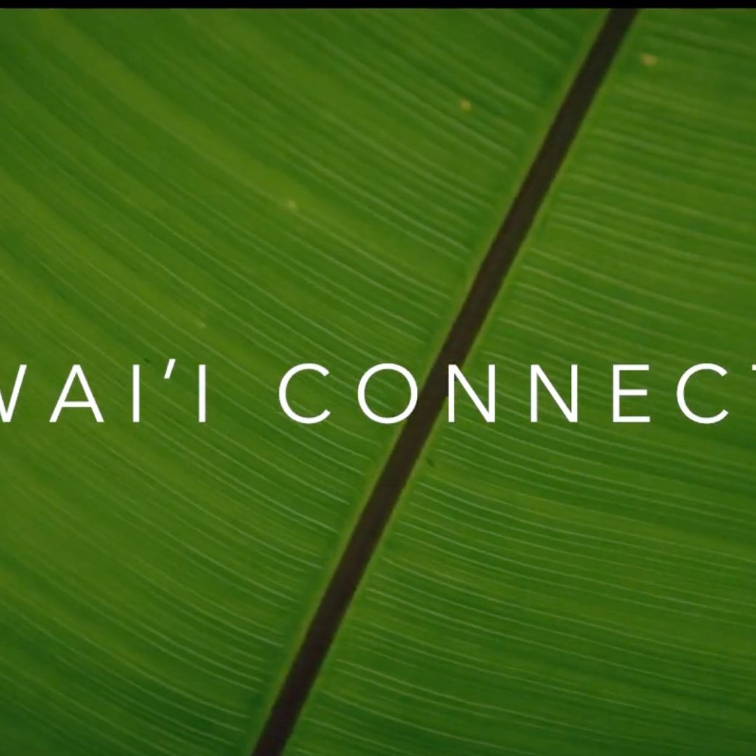 Stream Hawaii Connection by Hawaii Visitors and Convention Bureau by ...