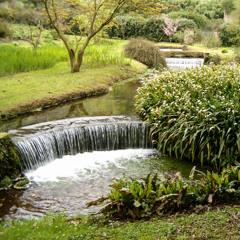 Ed Sheeran - Photograph - Piano cover