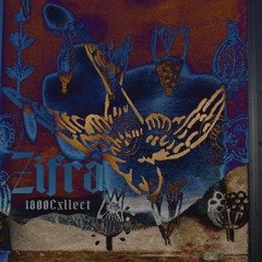1800Cxllect Series | 032 | Zifra (Sosomuch Records)