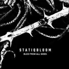 Statiqbloom - Desolate [Self-Release]