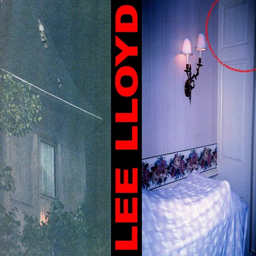 Lee Lloyd - MEETINGTOTALFREEDOM [blinx002] (snippets)