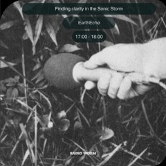 ___222 ø Finding Clarity In the Sonic Storm ø Radio Worm___ ø