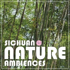 Sichuan Nature Preview