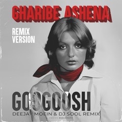 Googoosh - Gharibe Ashena (Deejay Moein & DJSOOL Remix)