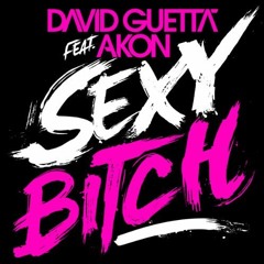 David Guetta Feat. Akon - Sexy Bitch (SLTRY Vs. Zuffo Remix) [Ekki Mash Up Edit]