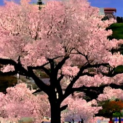 miss mine (prod. kyotosend)