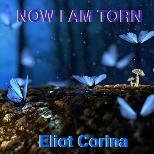 Now I Am Torn (video on Youtube)