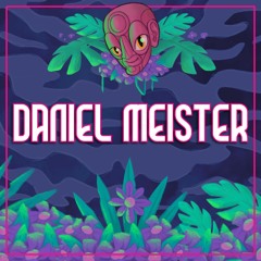 Flipside Podcast ∞ w| Daniel Meister