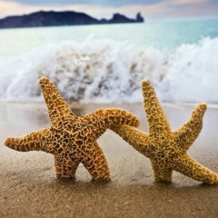 Einsigartig - Teilen kann