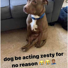 ZESTY!