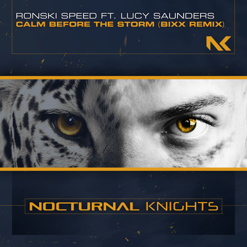 Calm Before the Storm (BiXX Remix) [feat. Lucy Saunders]
