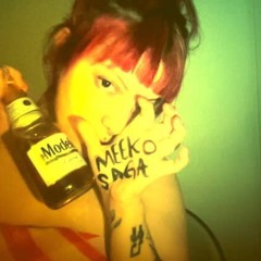 Meeko - MODELO TIME