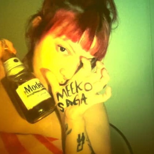 Meeko - MODELO TIME