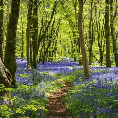 Lisa P - Spring Uplifting Trance Mix (April 2024)