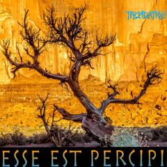 Akrasia (Weakness of will)