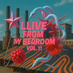 LLive From My Bedroom Vol 11. (Berlin Vibes)