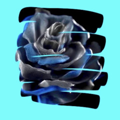 Oh how I wish I could fly