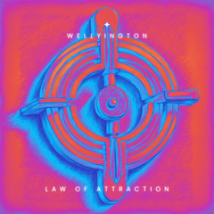 Law Of Attraction (Original Mix)