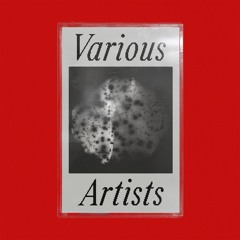 Various Artists [LRT09]