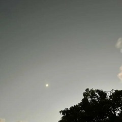 One of a kind - Pa'ila Aholelei