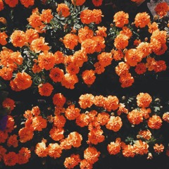 When I Get Home_Starter Clip