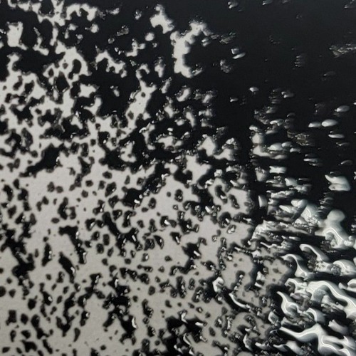 Abraham The Fish (Chapter 1, Bar scene)