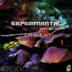 Ingredients 005: Frinla - Experimental Ambient (Demo Track)