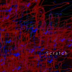 Scratch Of A Man