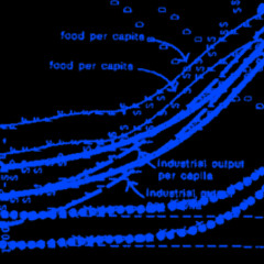 world model standard run