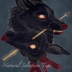 EVERYBODY WANNA BE SPECIAL FT. Almighh