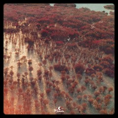 Sundrenched - it's ok, I only have tears in my third eye