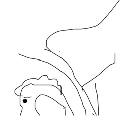 nothing (p. Noah Mejia)
