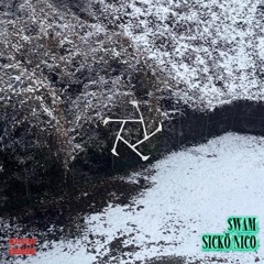 pillsdidit (feat. sicko nico)