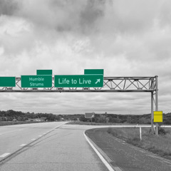 Life to Live