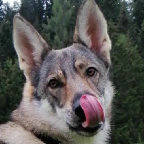 Techno Vinyl Mix feat. Kaya