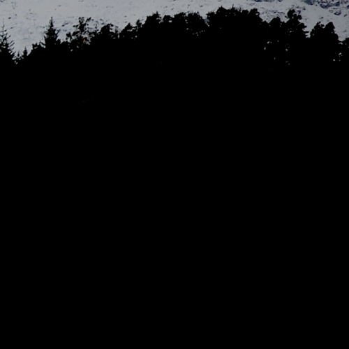 Dark Summer