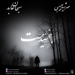 Mehrshid Habibi & Sobhan Abed - Bakhshidamet | OFFICIAL TRACK مهرشید حبیبی و سبحان عابد - بخشیدمت