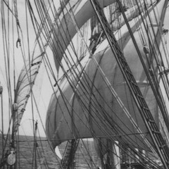 Black Wires, White Ships