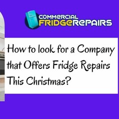 How to Look for a Company that Offers Fridge Repairs This Christmas?