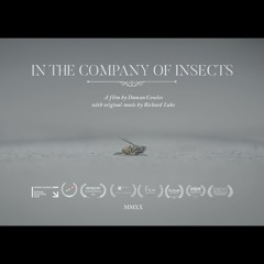 Part ii (In the Company of Insects)