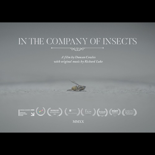 Part ii (In the Company of Insects)