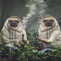 Раста