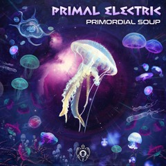 Primordial Soup