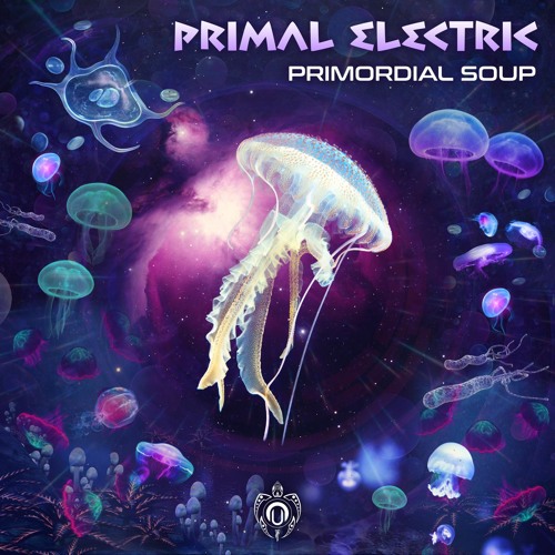 Primordial Soup
