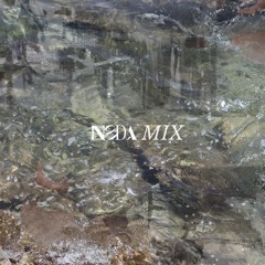 NSDA MIX002 - REFORM