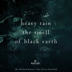 Black Earth (NaviarHaiku 438 )